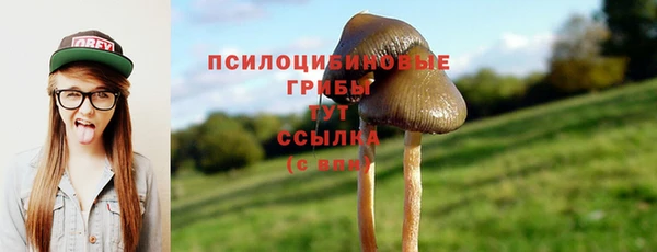 мет Пенза