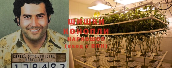 каннабис Осташков