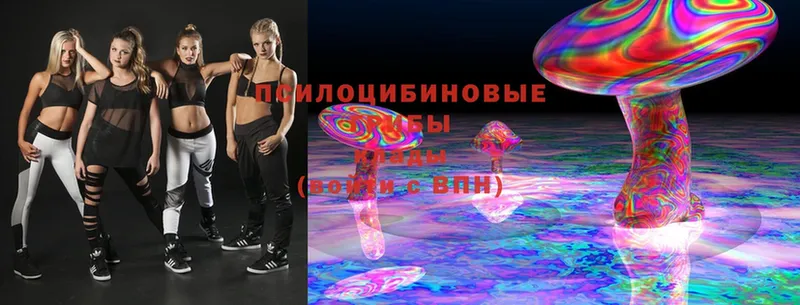 Галлюциногенные грибы Magic Shrooms Сафоново